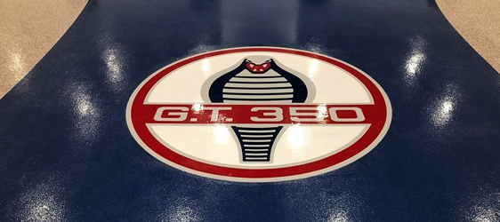 Epoxy Logo This image shows a logo painted on the floor.